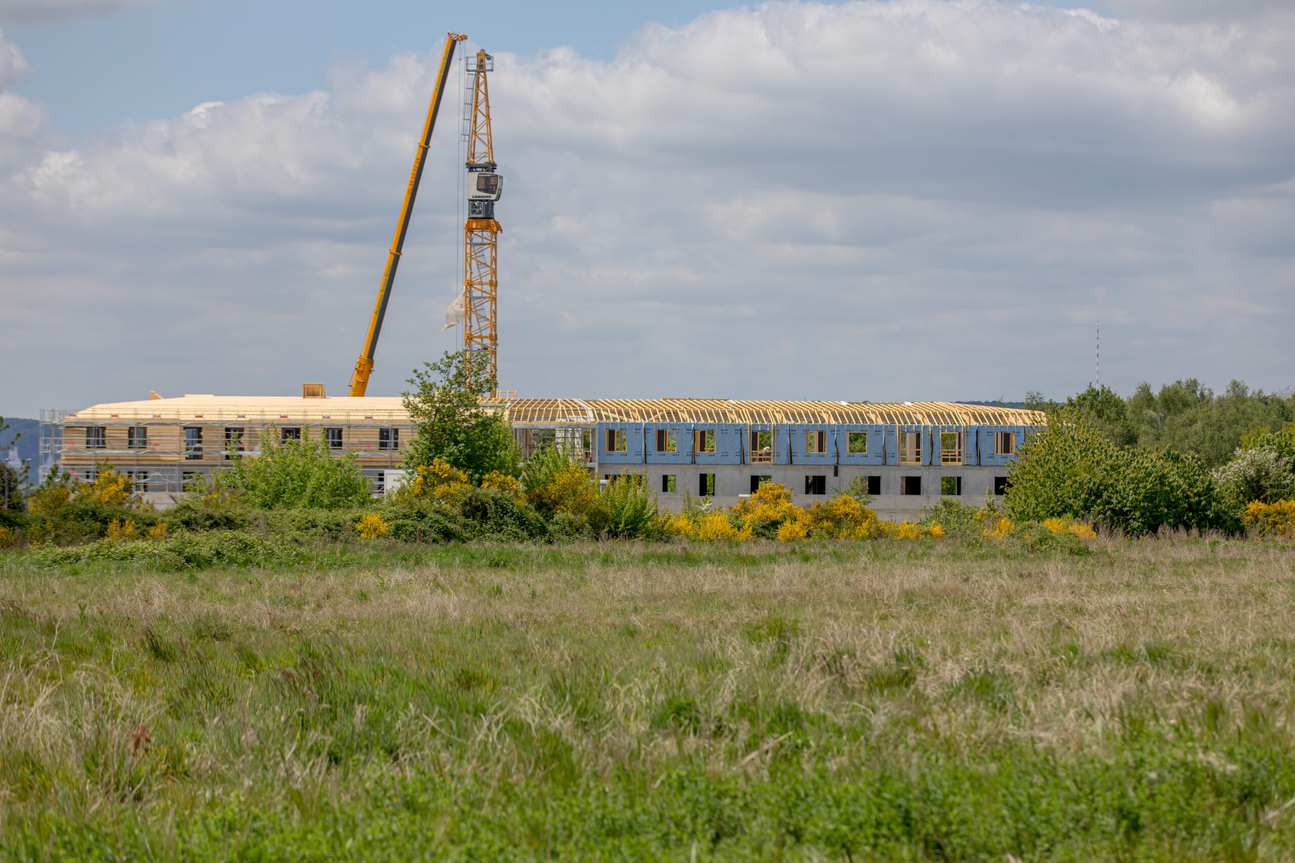 HD_AGC_TOURVILLE_LA_RIVIERE_2022©JulienTragin-3